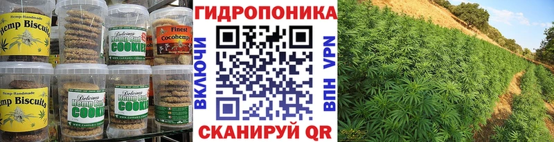 Купить где  Ладушкин  Canna-Cookies марихуана 