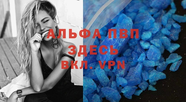ПСИЛОЦИБИНОВЫЕ ГРИБЫ Чегем